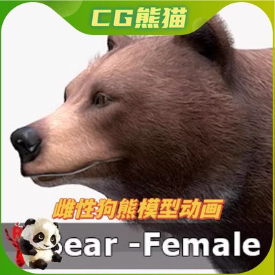 UE5虚幻5 Bear - Female 雌性母狗熊角色模型带动画