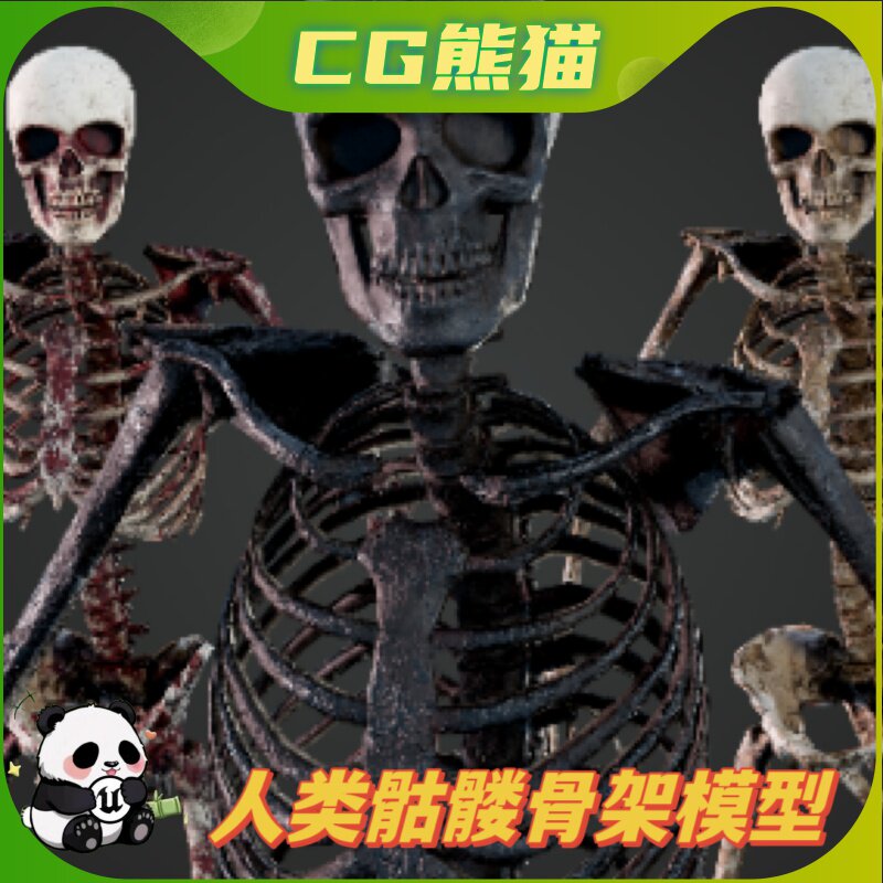 UE5虚幻5 Skeleton Humanoi 人体骨架骷髅角色模型带骨骼
