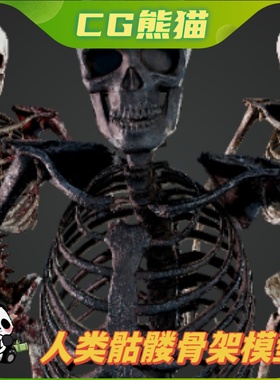 UE5虚幻5 Skeleton Humanoi 人体骨架骷髅角色模型带骨骼
