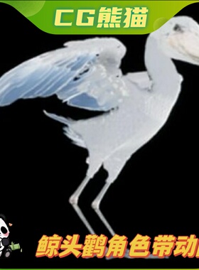 UE5虚幻5 Shoebill 鲸头鹳傻鸟角色模型带动画