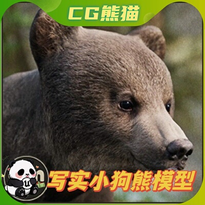 Unity3D Animalia - Brown Bear (young) 小狗熊模型带动画