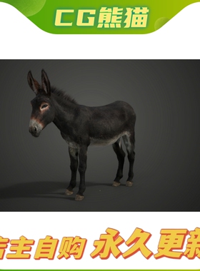 Donkey Summer Animated | VFX Grace Blender毛驴驴子模型带动画