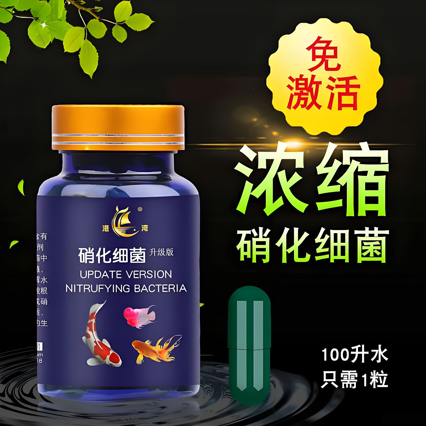 硝化细菌鱼缸用专用胶囊净水剂颗粒活菌干粉水质稳定净化水族鱼用