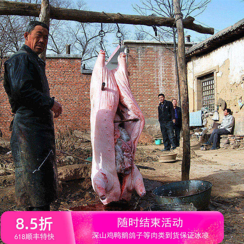 土猪肉农家猪肉新鲜猪排大肠猪腿排骨猪蹄农村散养笨猪肉五花肉