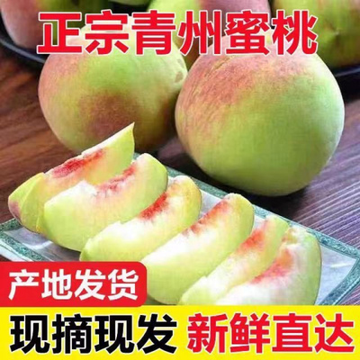 新鲜正宗青州蜜桃冬桃红肉桃子当