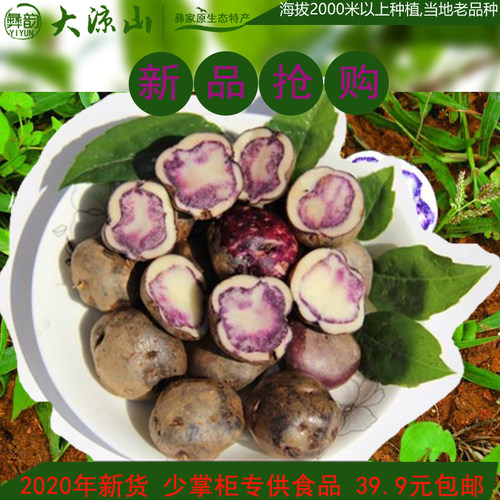 凉山布拖乌洋芋四川扶贫七彩新鲜