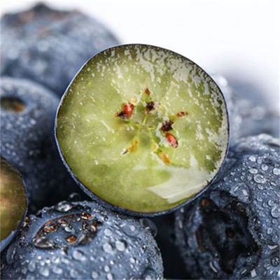 云南蓝莓鲜果新鲜高端水果当季怡