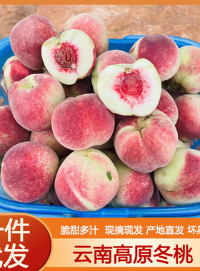 现摘云南冬桃冬雪蜜桃脆桃毛桃孕妇新鲜水果当季整箱批发非水蜜桃