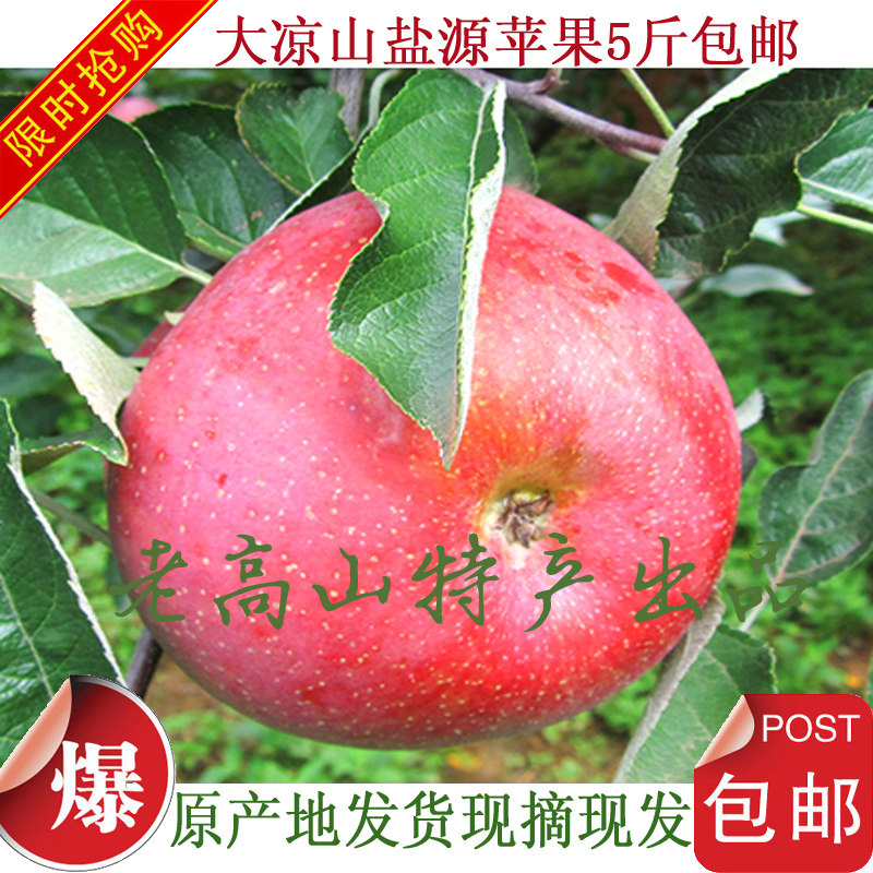 西昌盐源红富士冰糖心甜脆丑苹果生态果10斤装新鲜装坏果包赔包邮