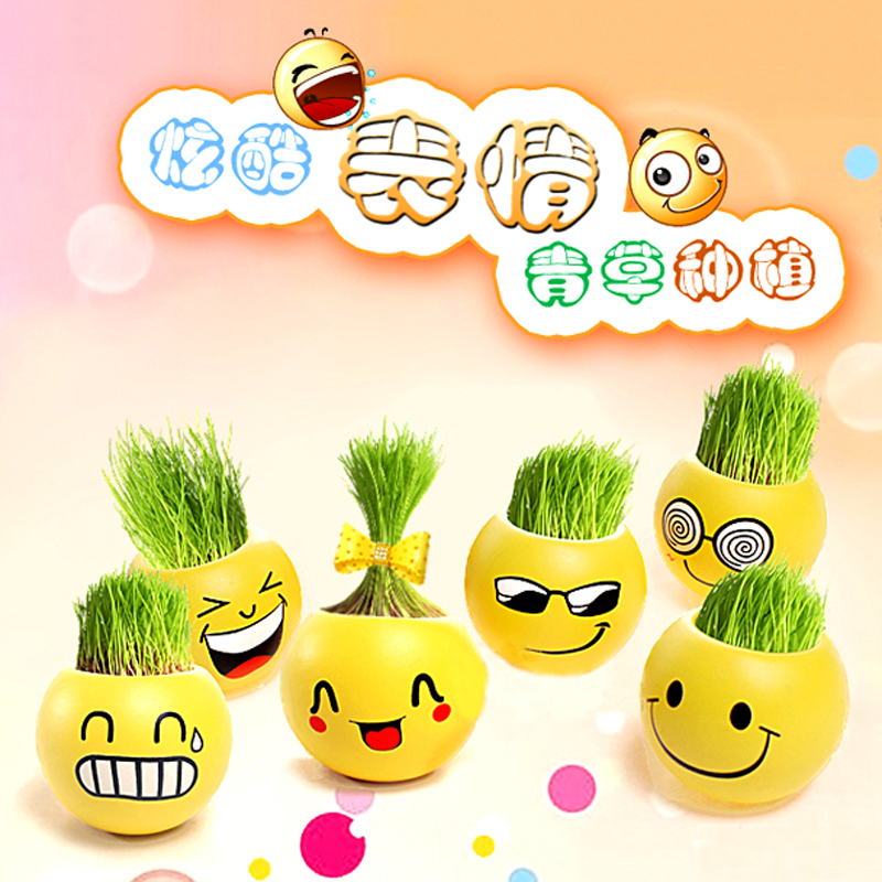 °ì¹«ÊÒÃÔÄã΢¾°¹ÛÖ²ÎïС²ÝÅèÔÔ¶ùͯÊÒÄÚÖÖÖ²¿É°®±íÇ鳤²ÝÍ·ÍÞÍÞ