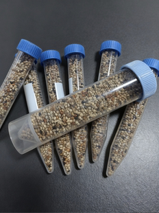 蚂蚁食物收获蚁吃的食物工匠收获蚁针毛收获蚁原生收获蚁种子包邮