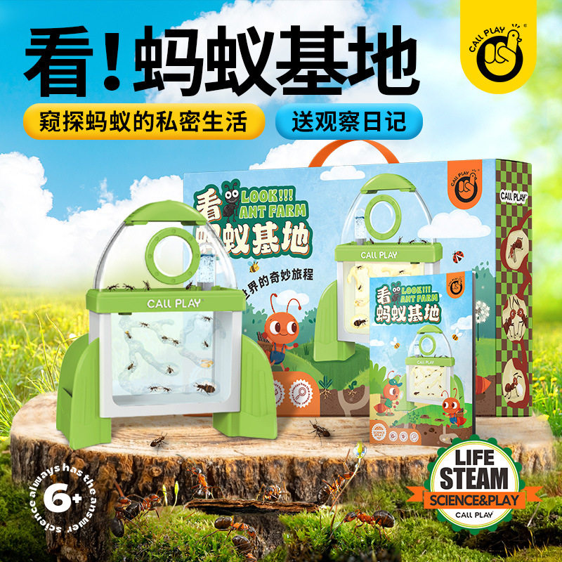 科答鸭儿童蚂蚁基地生态工坊活体小动物昆虫幼儿园发现蚂蚁观察盒