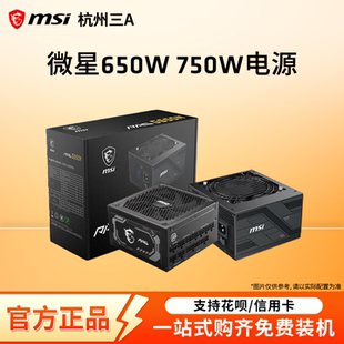 1000W金牌全模组ATX3.0台式 电脑游戏电源 850W 微星电源750W