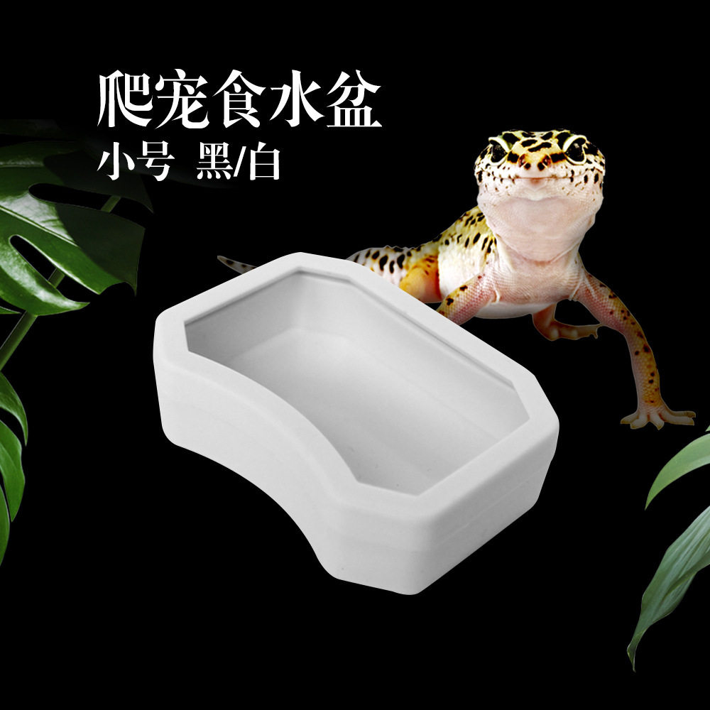 爬宠防逃饲养盒带盖守宫角蛙蜥蜴