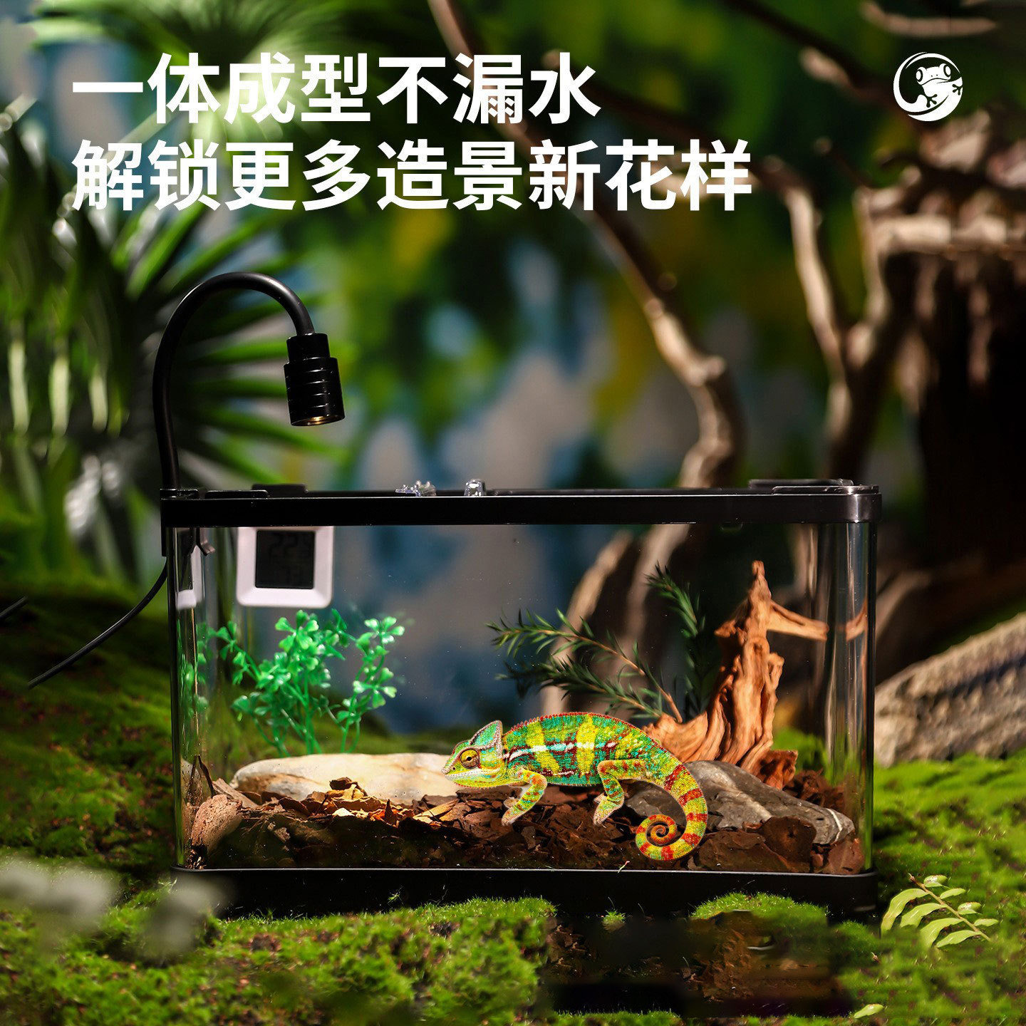 塑料透明乌龟缸桌面水缸爬宠晒台
