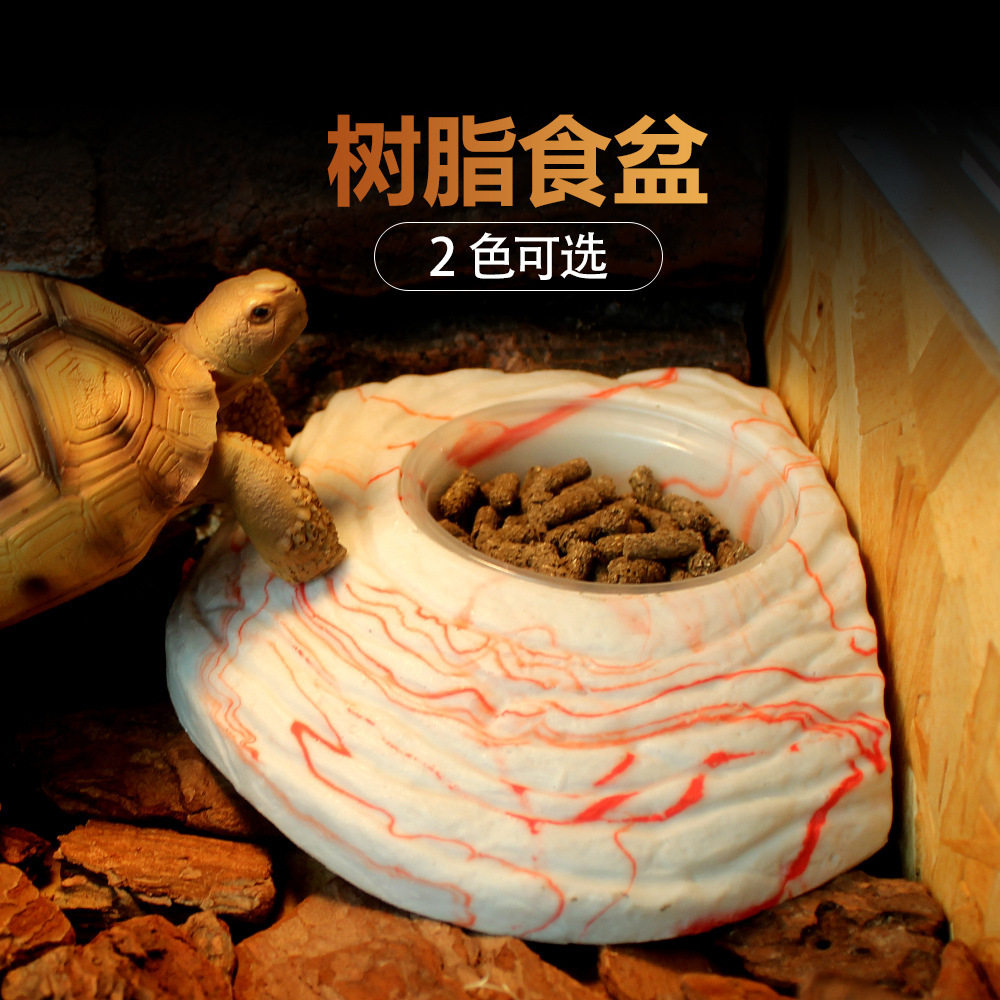 爬宠食盘蜥蜴角蛙守宫饮水盘