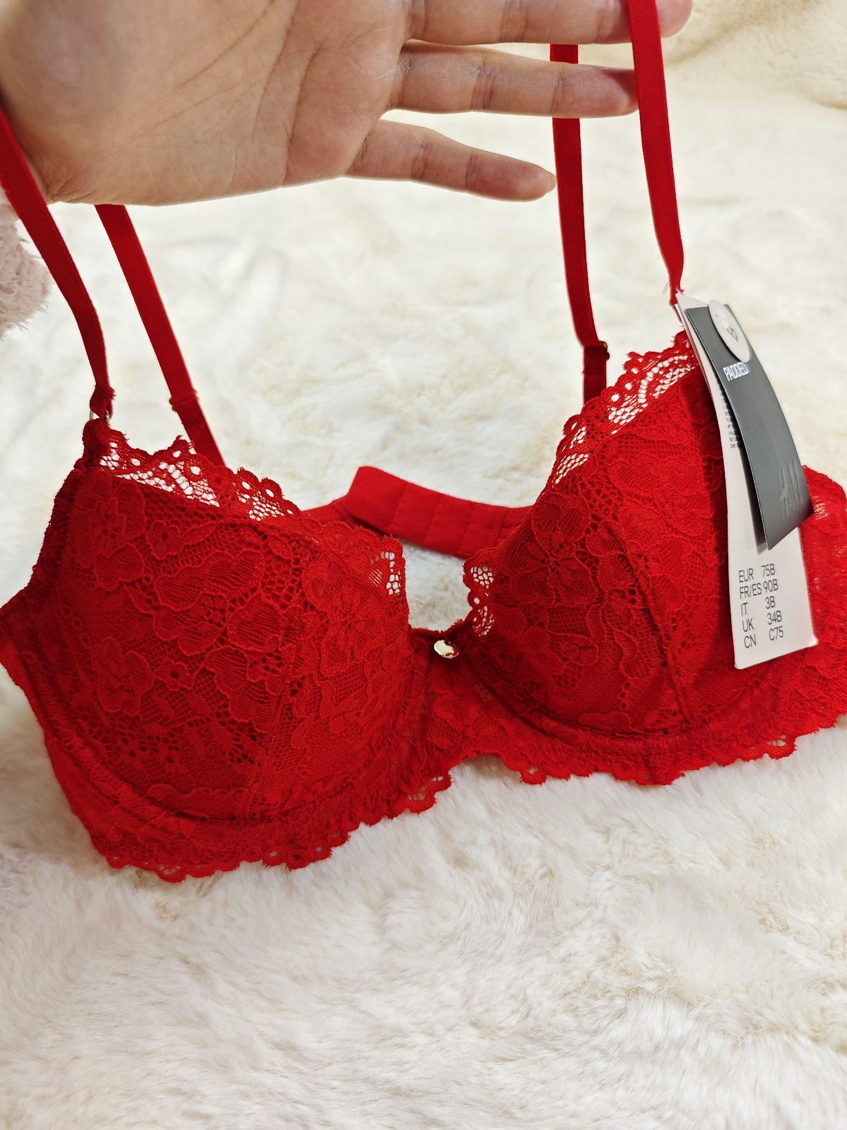 75B北欧H新年红色蕾丝性感薄棉钢圈文胸顺顺顺