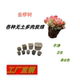 金椤树无土多肉栽培基质海绵控养育苗块种植专用绵营养土生物炭绵