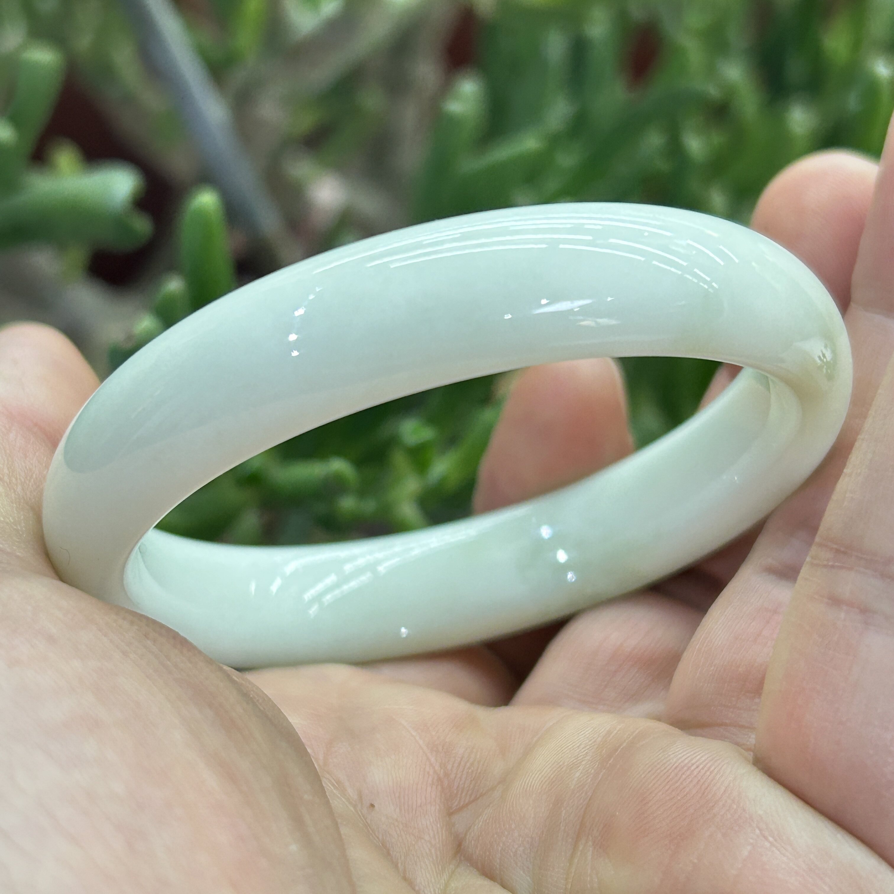 陕西西安蓝田玉手镯奶绿色老料子翠色精品玉镯子正规鉴定证书