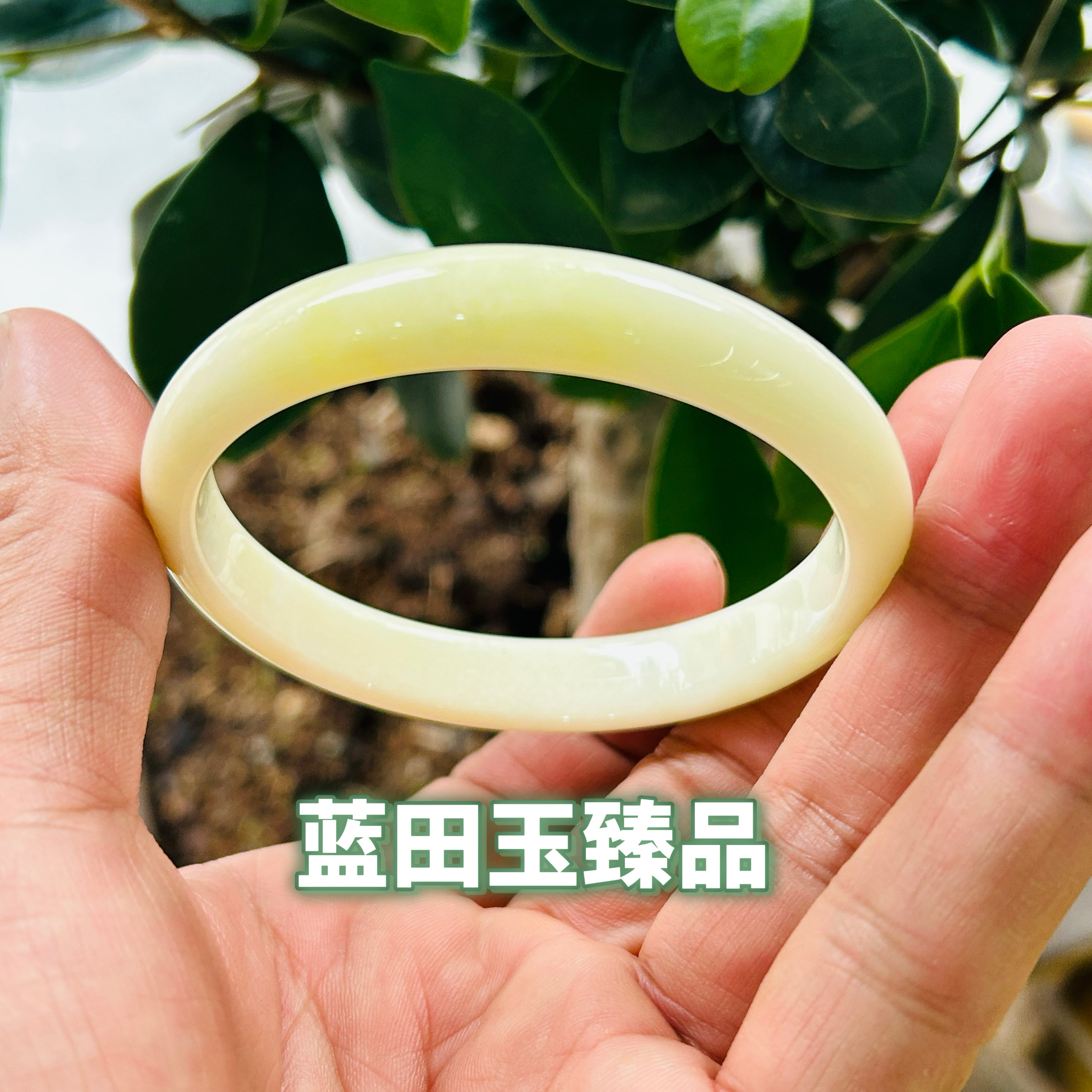 精品蓝田玉一级细料翠玉手镯女款天然玉石镯子圈口59宽度10.5