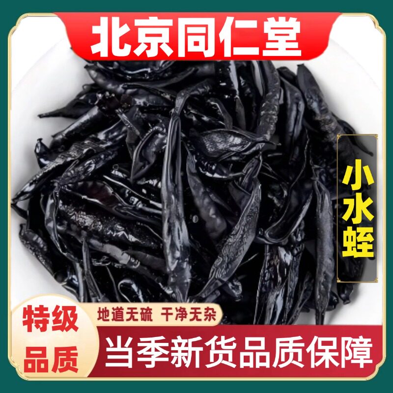 北京同仁堂特级小水蛭药材正宗