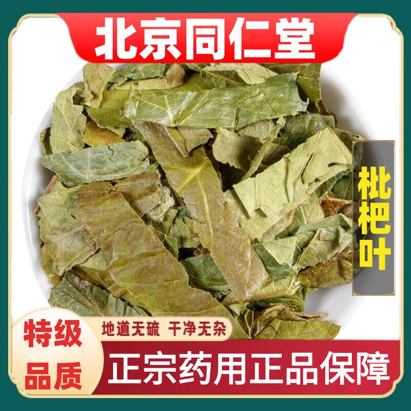 北京同仁堂特级枇杷叶中草药材新鲜野生琵琶批把叶干枇杷叶茶泡水