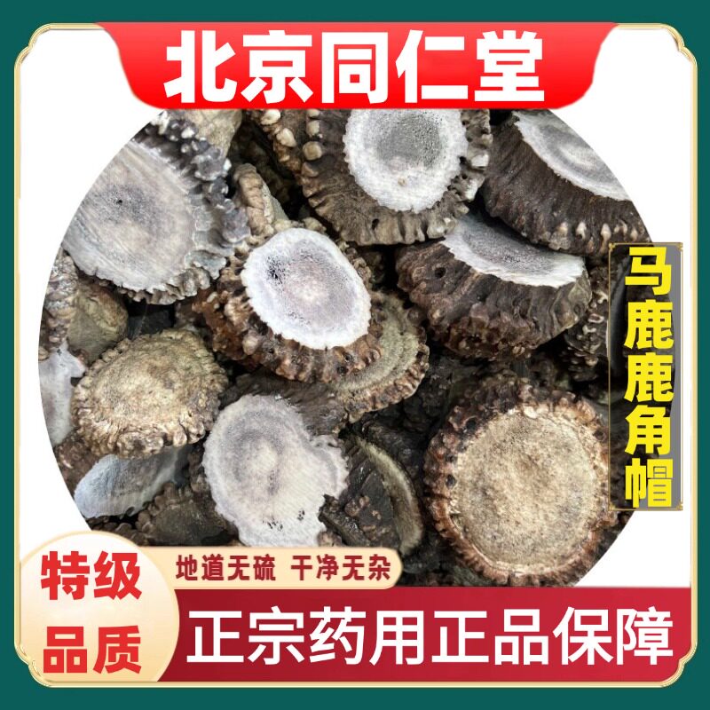 北京同仁堂特级马鹿鹿角帽道地