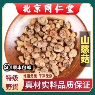 同仁堂正品野生山慈菇中药材正宗慈菇山茨菇干货云南毛慈姑冰球子