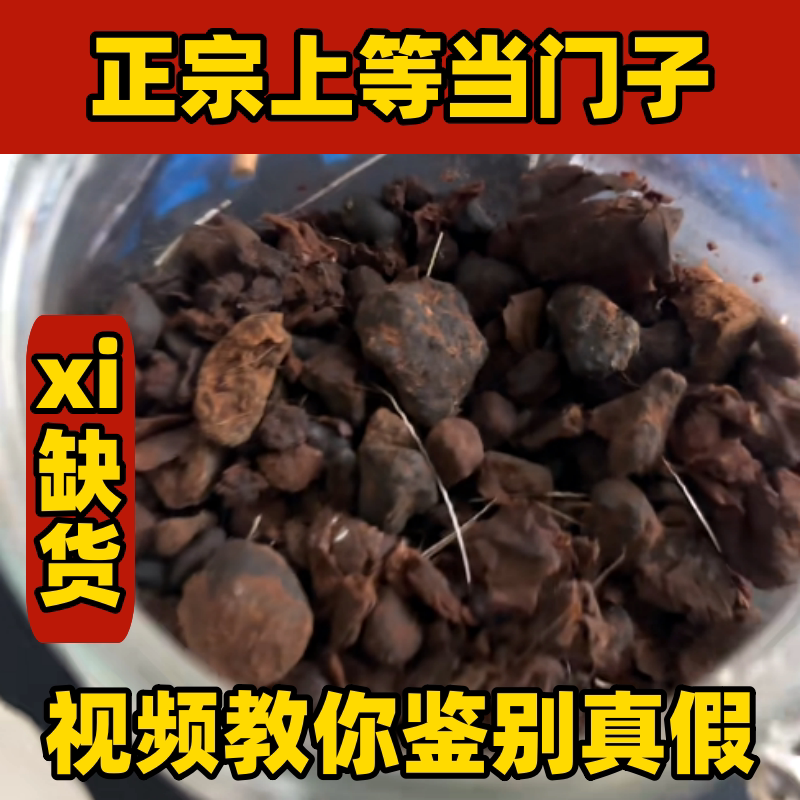 正宗上等当门子真品麝香仁高端