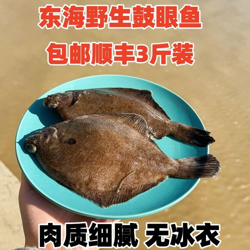 包邮顺丰3斤装东海鼓眼鱼扁口鱼