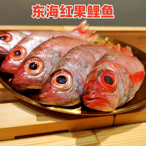 深海红果鲤鲜活冷冻黑喉鱼