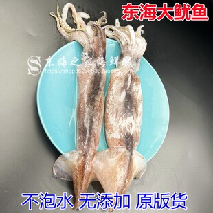 顺丰包邮3斤东海大鱿鱼鲜活冷冻鱿鱼野生海鲜水产品火锅烧烤食材