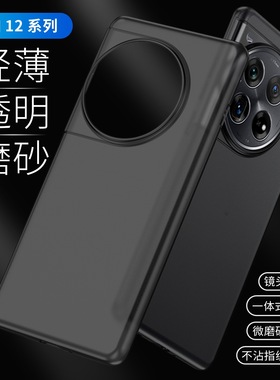 for OnePlus 12 Ace3Pro Case Cover Frosted AM 磨砂适用一加12手机壳1+Ace3Pro大孔防摔简约保护套1+Ace2