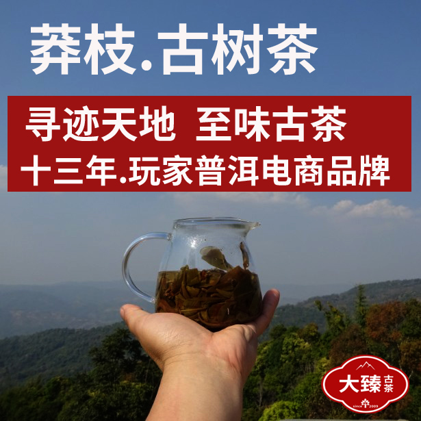 莽枝小叶古树茶细柔野香滑