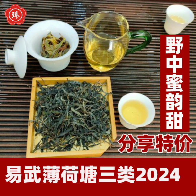 2024年春茶易武薄荷塘三类 精品高端散茶 大臻普洱茶