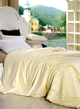 凤仪蚕丝被桑蚕长丝手工春秋夏凉空调冬被单被子母被芯【提花】