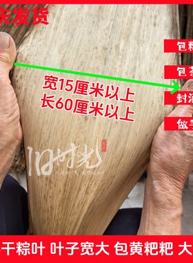 下单送棉线今年新粽叶大号粽子叶