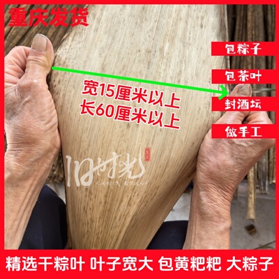 下单送棉线今年新粽叶大号粽子叶