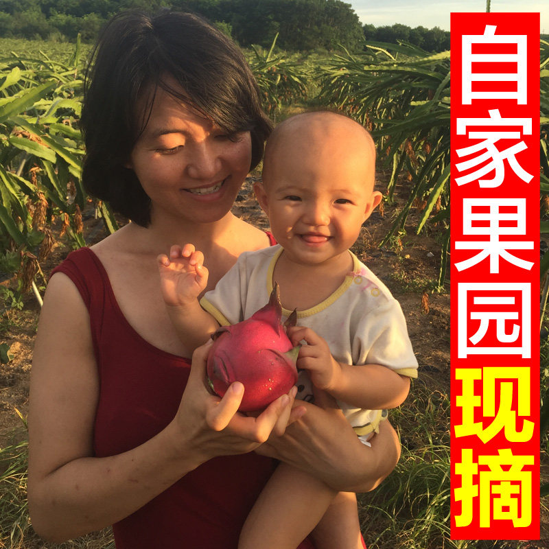 海南自家果园现摘红心火龙果红肉新鲜直发孕妇宝宝放心爱吃怎么样,好用不?