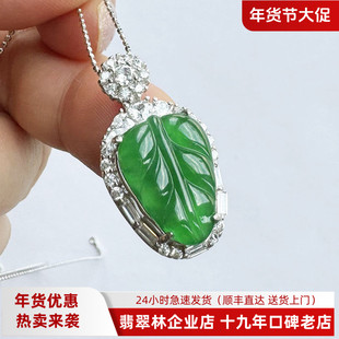 翡翠林 缅甸天然A货金枝玉叶翡翠吊坠老坑木那料正阳绿高冰种叶子