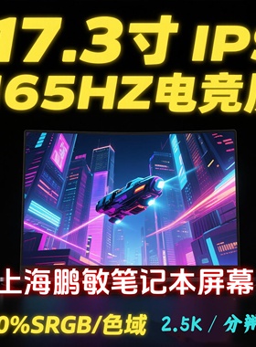 17.3寸 2K 165HZ NE173QHM-NY5 NY2 NY3 NY4 NZ3 笔记本 液晶屏幕