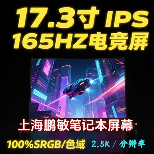 NY3 液晶屏幕 165HZ 笔记本 NZ3 NY4 NY2 NY5 NE173QHM 17.3寸