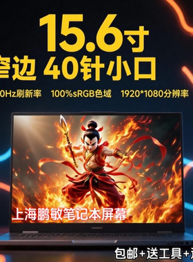 微星GE65 Raider 9SE-206CN 绝影强袭2 GE66 GS66 GE65 240HZ屏幕