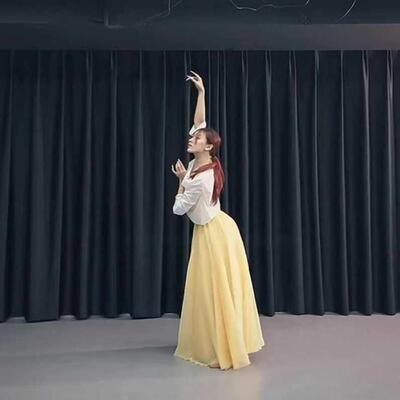 古典舞裙子国风飘逸艺考双层裙