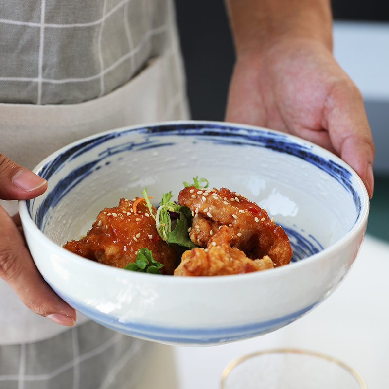 日本进口陶瓷餐具粉吹圆形菜盘