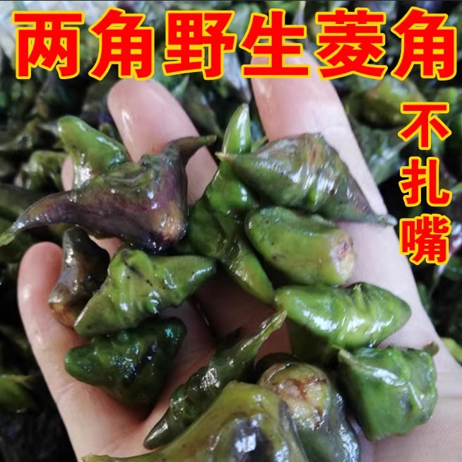 顺丰空运现摘纯野生非湖北菱角