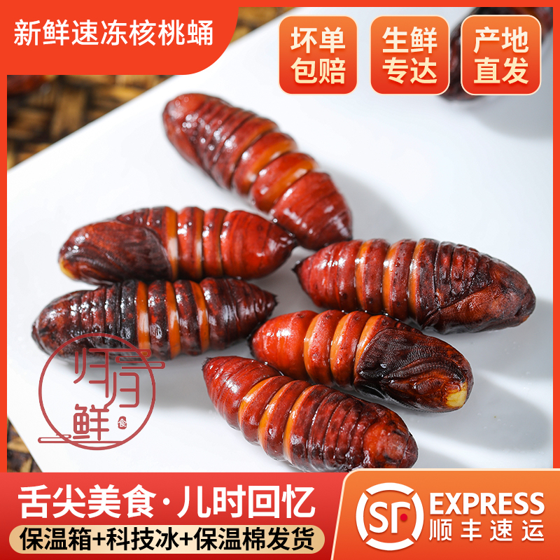 当季新鲜速冻核桃蛹核桃树毛虫蛹食用昆虫宴速冻油炸烧烤虫子食材
