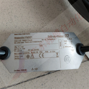FMX21 液位计 L=10M AA111HGB10A 议价瑞士E