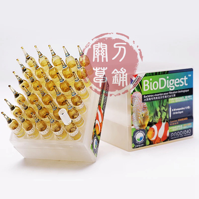 法国科迪bio硝化细菌正品