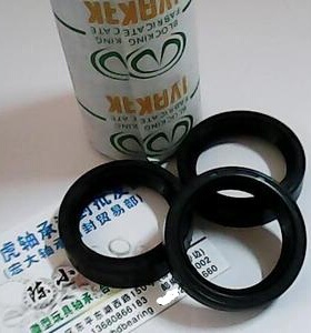 TC 32*42*10 32x42x10 IVAK自紧骨架油封内径32外径42高度10毫米